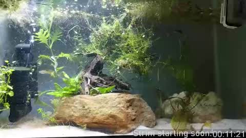 Booker Baxton online show from 09-21-25, 02:57