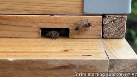 Booker Baxton online show from 10-03-25, 03:03