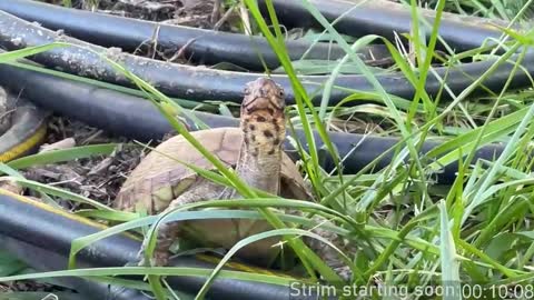 Booker Baxton online show from 10-30-25, 02:57