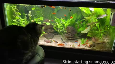 Booker Baxton online show from 12-05-25, 03:59