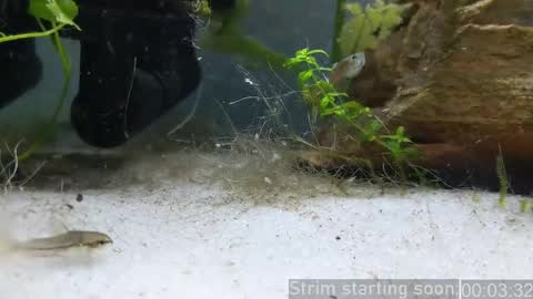 Booker Baxton online show from 04-25-26, 03:09