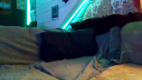 Bootsy online show from 04-19-26, 09:06