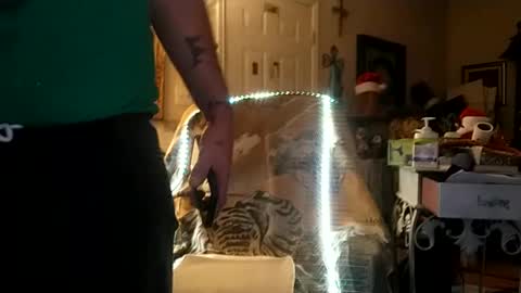 Snapshot of boredaf6678 chatting on 12-25-24, 09:34 boredaf6678 online show from 12-25-24, 09:34