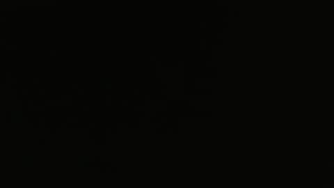 Snapshot of bossram160 chatting on 02-05-25, 10:08 bossram160 online show from 02-05-25, 10:08