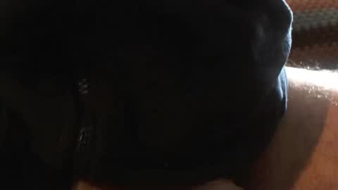 Snapshot of bossram160 chatting on 03-06-25, 09:36 bossram160 online show from 03-06-25, 09:36