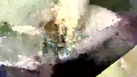 Snapshot of bossram160 chatting on 09-17-25, 08:21 bossram160 online show from 09-17-25, 08:21