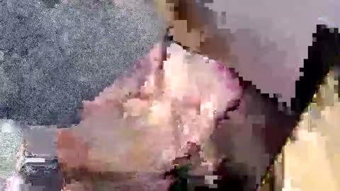 Snapshot of bossram160 chatting on 09-27-25, 07:52 bossram160 online show from 09-27-25, 07:52