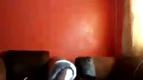 botsougaba online show from 07-27-26, 07:48