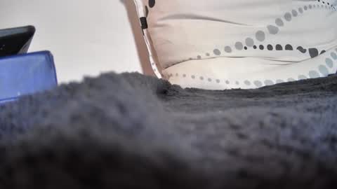 boy3911 online show from 02-11-25, 05:40