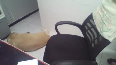 boy_fitbrutal online show from 12-02-25, 01:55