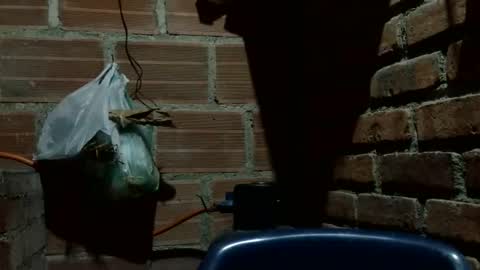 Boy online show from 10-07-25, 02:53