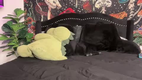 Snapshot of boysdroollx chatting on 09-22-25, 12:01 Puddin online show from 09-22-25, 12:01