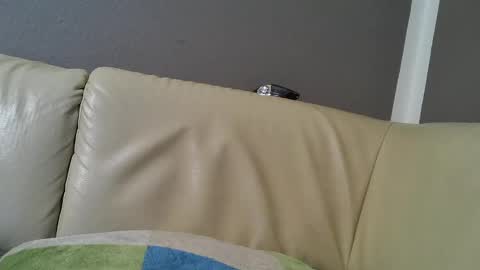 bramer8787 online show from 02-09-25, 05:29