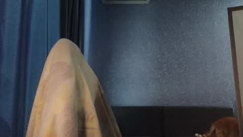 Snapshot of brandy__stars chatting on 11-08-25, 04:56 Belle online show from 11-08-25, 04:56