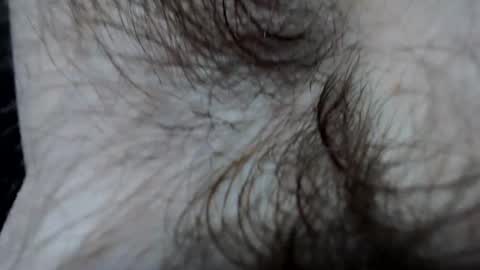 Snapshot of branflakes_ chatting on 02-21-25, 11:10 branflakes_ online show from 02-21-25, 11:10