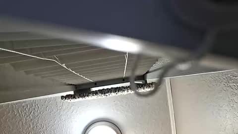 Snapshot of breeze316 chatting on 11-06-25, 11:11 breeze316 online show from 11-06-25, 11:11