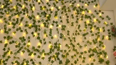 Brenda online show from 01-05-25, 09:25