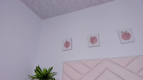   online show from 12-23-24, 02:07