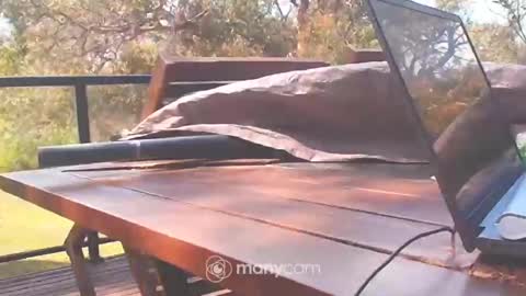 Fun Monster online show from 10-10-25, 01:15