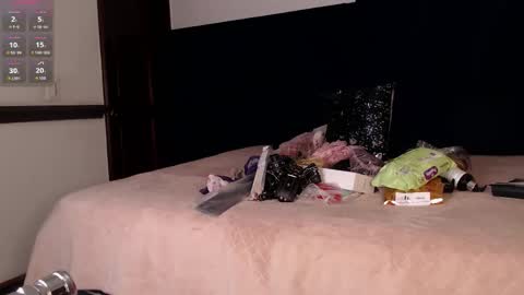 Brigith online show from 12-16-25, 04:06