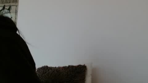 brigittebia777 online show from 10-24-25, 10:11