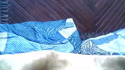 Josh online show from 12-28-24, 09:40