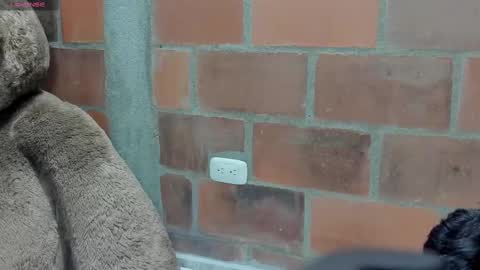 Snapshot of brilovers chatting on 03-06-25, 02:41 Briana69 online show from 03-06-25, 02:41