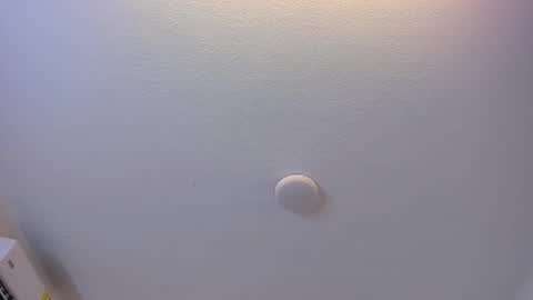 Brittany  online show from 03-08-26, 07:39