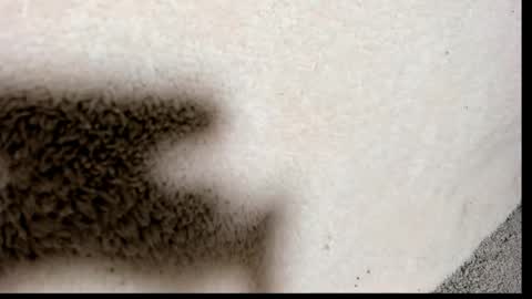 brockhurn_ online show from 09-15-25, 02:00