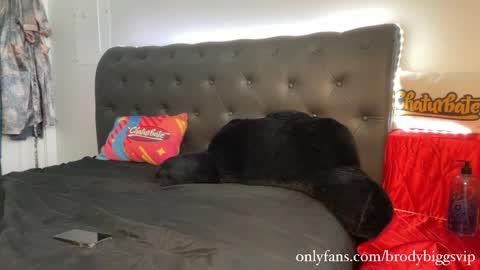 Brody Biggs online show from 01-09-26, 08:21