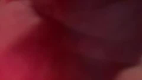 Brodt online show from 10-21-25, 04:51