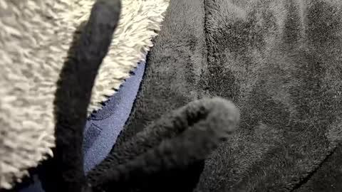 Snapshot of broken_lad chatting on 01-12-26, 07:08 just a broken boy online show from 01-12-26, 07:08