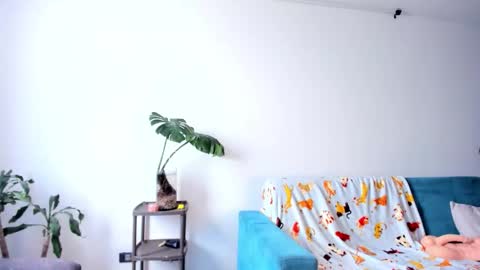  JOIN MY CHANNEL ON    TELEGRAM         online show from 02-19-26, 07:43