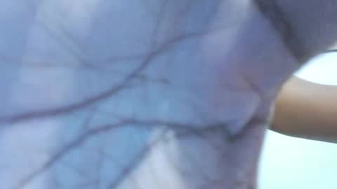 brownguy2505 online show from 01-19-26, 12:53