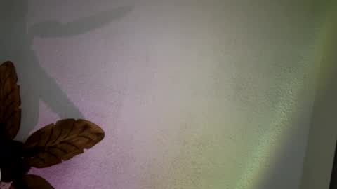 Snapshot of brownsugar0910 chatting on 03-11-25, 03:23 EtherealLilac online show from 03-11-25, 03:23