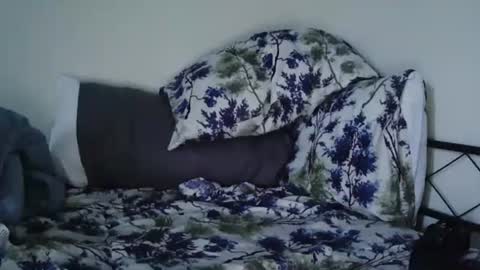 Snapshot of bruc12168 chatting on 02-20-25, 12:04 Bruc12168 fit slim new makemecum bigdick edging online show from 02-20-25, 12:04