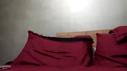 Snapshot of brushbarton_ chatting on 02-21-25, 04:51 BRUSH BARTON online show from 02-21-25, 04:51