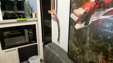 Steve... aka SkinnieDippin aka TimberTramp online show from 02-21-25, 10:07