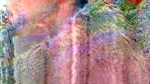 Steve... aka SkinnieDippin aka TimberTramp online show from 04-02-26, 04:59