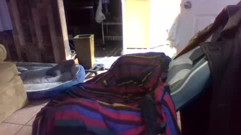 brutal3anddone online show from 10-16-25, 05:14