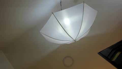 bryannamiller online show from 11-11-25, 11:54