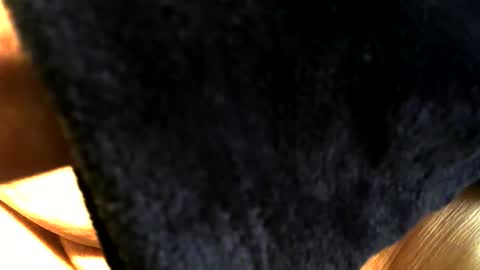 Snapshot of buck_shot chatting on 03-15-26, 03:40 Buck online show from 03-15-26, 03:40