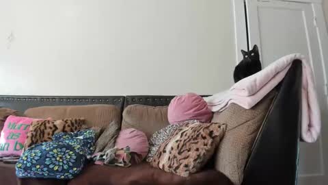 Buffy online show from 12-02-24, 06:32