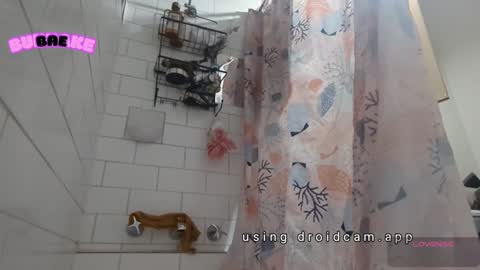 Snapshot of bukkakebae chatting on 01-05-25, 06:45 bukkakebae online show from 01-05-25, 06:45