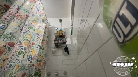 Snapshot of bukkakebae chatting on 09-11-25, 08:20 bukkakebae online show from 09-11-25, 08:20