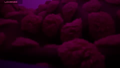 Snapshot of bukkakebae chatting on 11-15-25, 12:30 bukkakebae online show from 11-15-25, 12:30