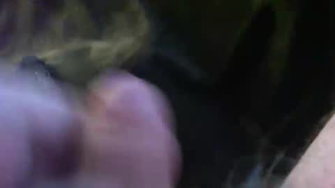 bullemoe online show from 01-14-25, 02:11