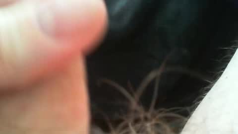 bullemoe online show from 04-27-26, 11:52