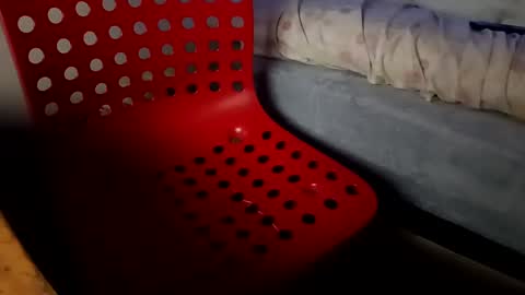 Snapshot of bullspain27266272 chatting on 01-26-25, 04:41 bullspain27266272 online show from 01-26-25, 04:41