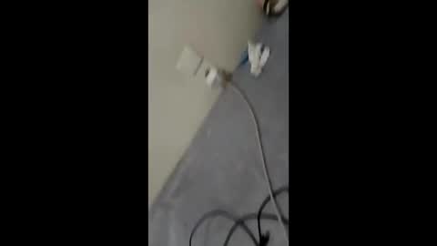 Snapshot of bullspain27266272 chatting on 01-29-25, 03:01 bullspain27266272 online show from 01-29-25, 03:01